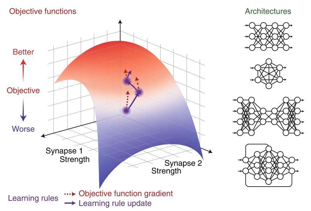 design deep neural network