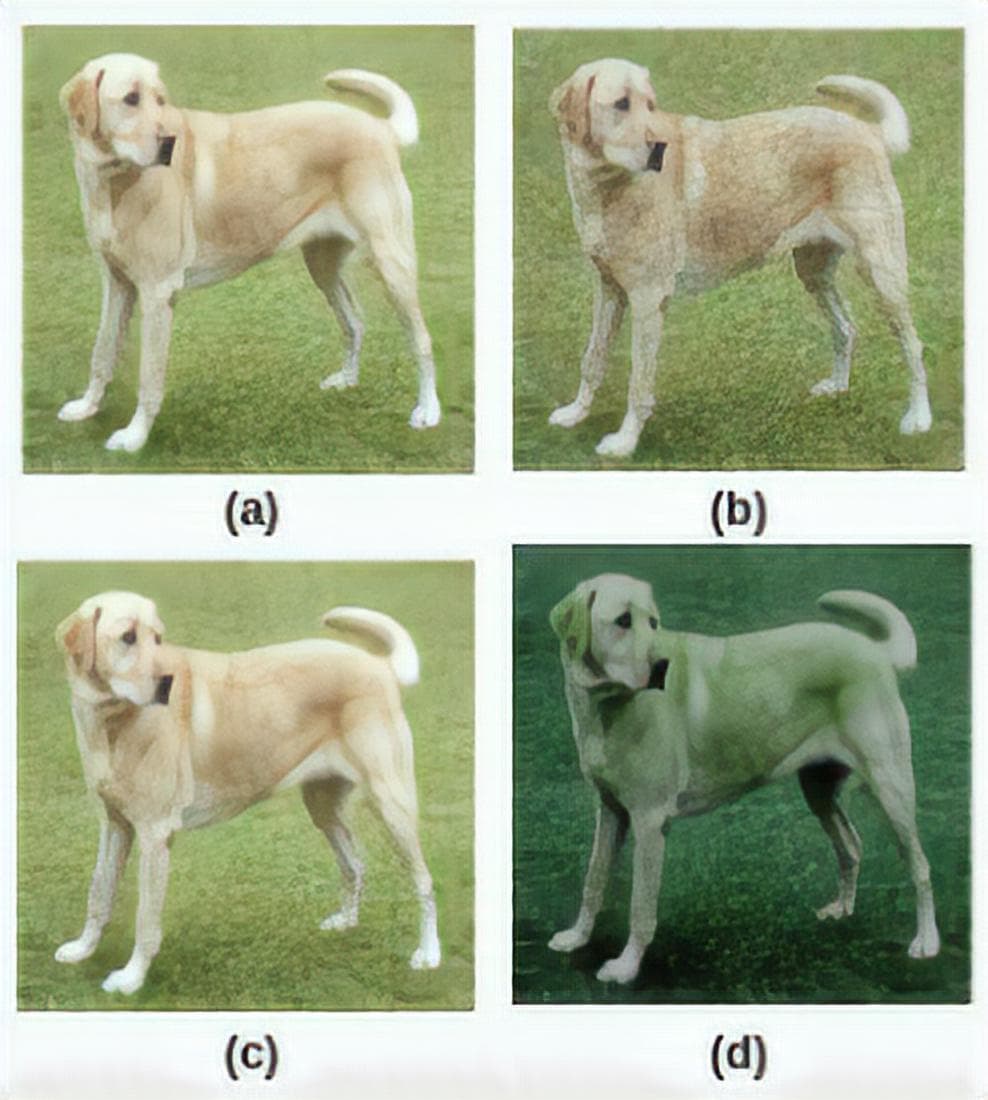 color transformation pretext task