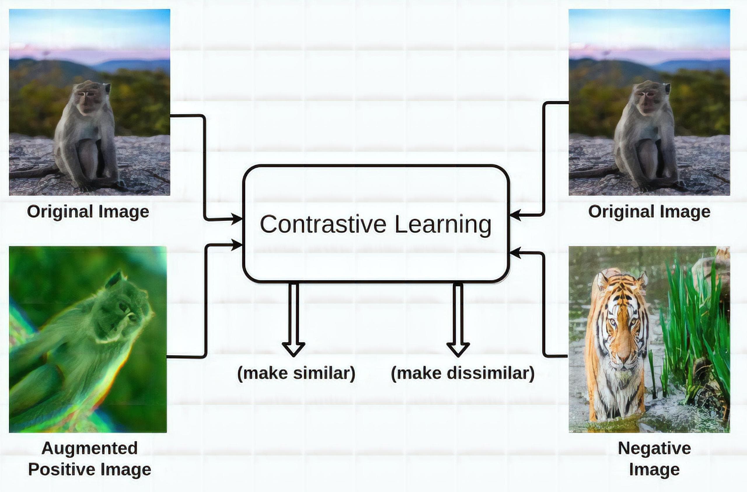 contrastive learning