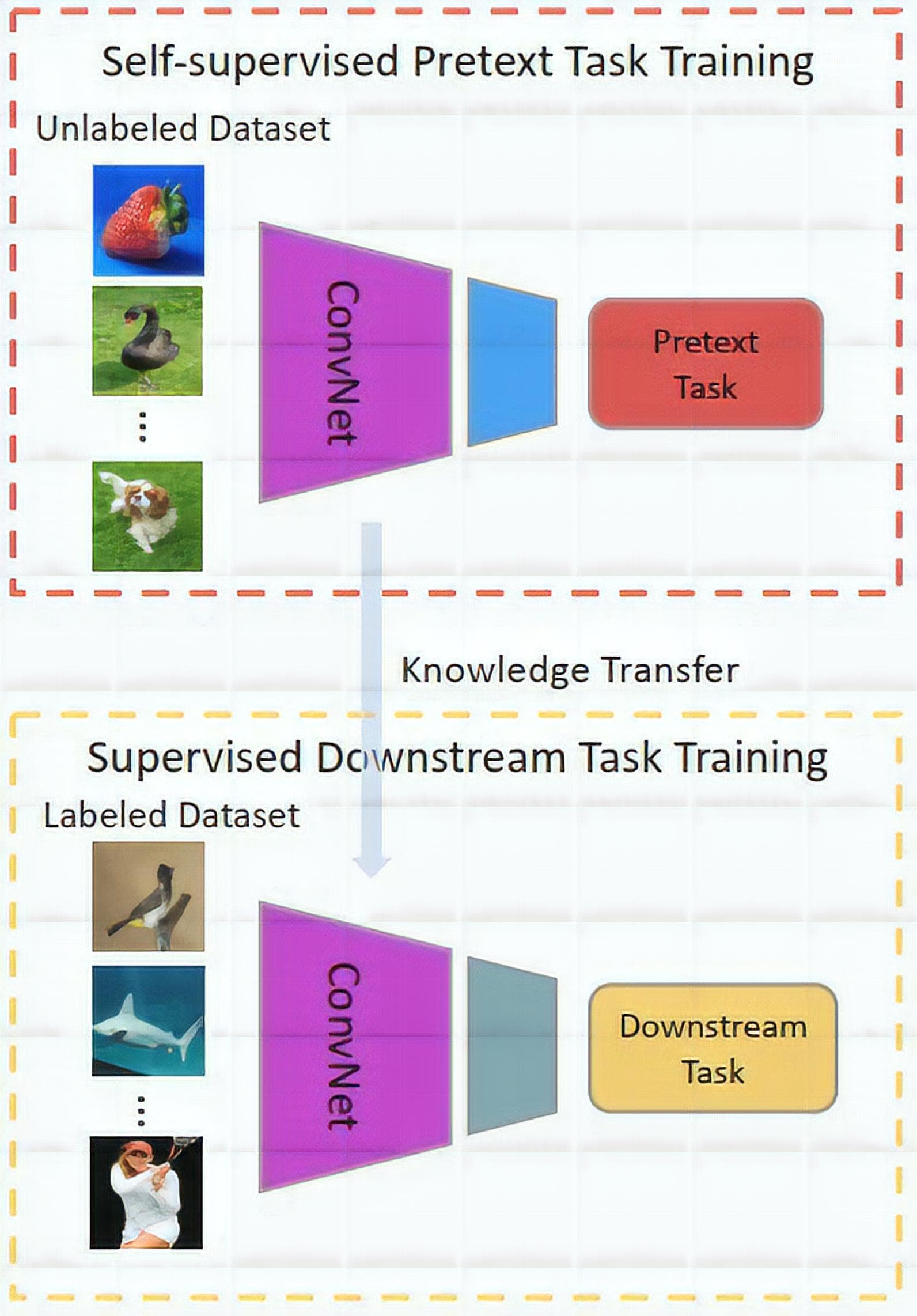 self supervised learning