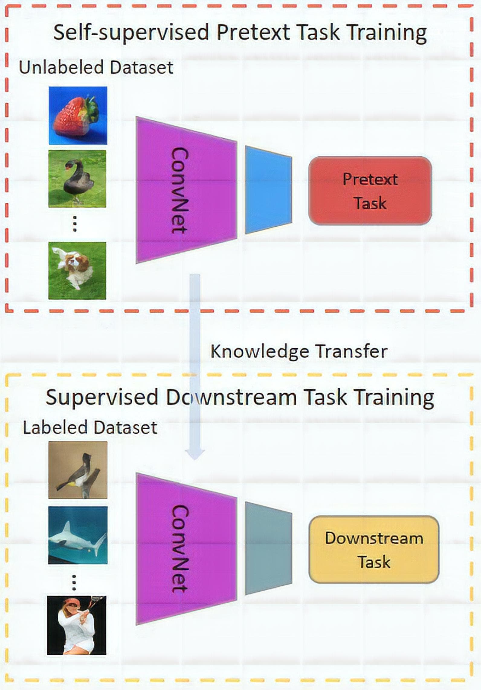 self supervised learning tabular data