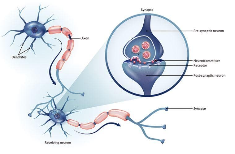 neural network